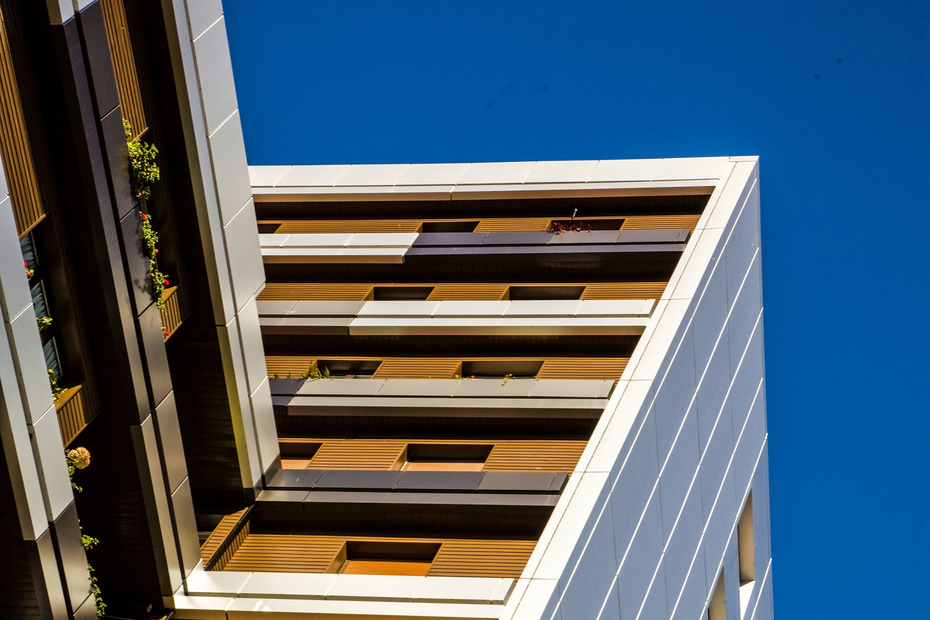 rehabilitación exterior
